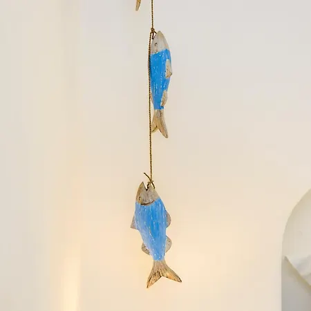 Ng Collection Faravelli 21 Cannigione